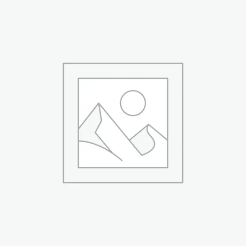 MIX BERRIES/ROYAL FOODS 1KG